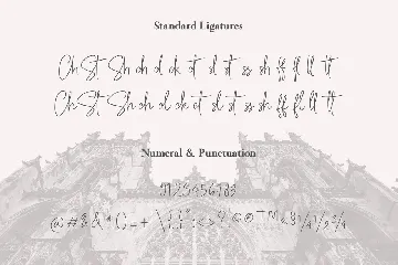 Rothwell Signature font