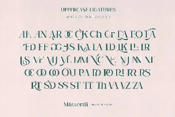 Matterdi - Hi-Fashion Ligature font