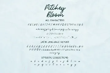 Pitchey Bloom font